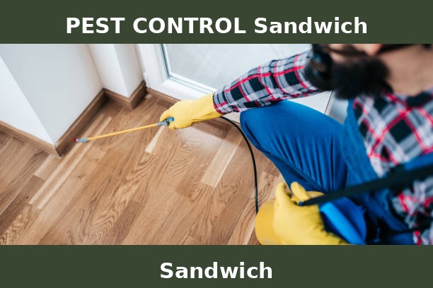 PEST CONTROL Sandwich